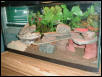 pic of thier house