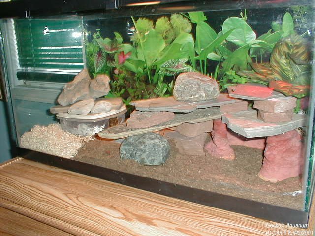 pic of thier house