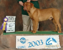 UKC GR CH RED DOG RIDGE RAZZMATAZZ
