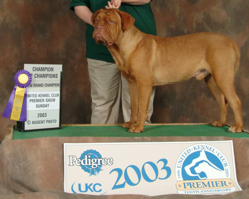 UKC GR CH RED DOG RIDGE RAZZMATAZZ