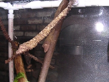 Hangin Out