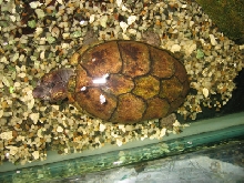 top view