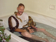 Snake Pile