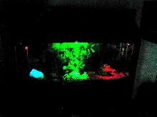 sleepy time night lights