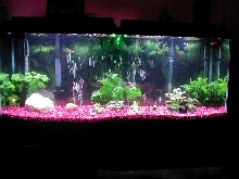 55 gal fresh water tank