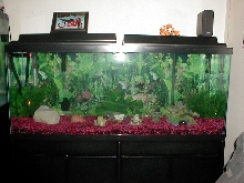 My 55 gal fresh water tank
