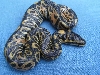 100%het/albino2'05/LIE