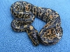 100%het/albino'05LIE
