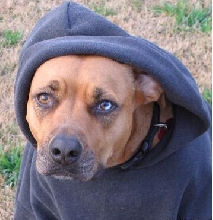 Sybil wearing her hoodie