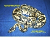 Gonzo1