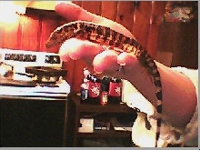 New Baby 2nd Picture