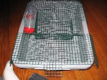 Finished view of model (see description below)