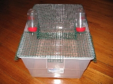 Rat Pad