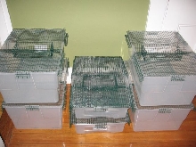 Stackable!