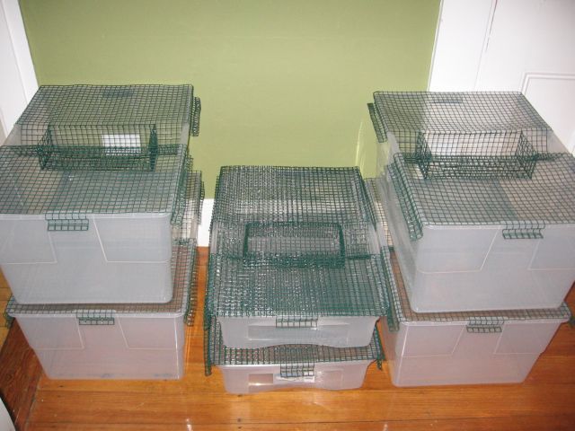 Stackable!