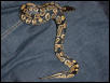 2male3
