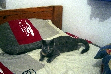 pitsy!