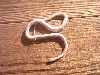 In sun and shed