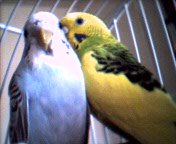 Julie and Gracey