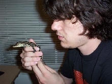 the gator