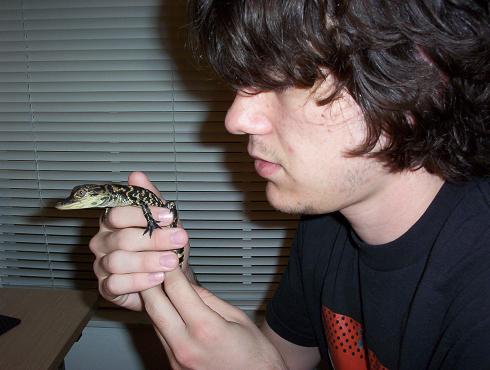 the gator