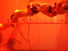 indy hanging out in her water.