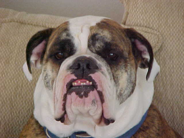 Maxwell P.