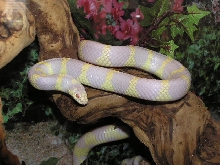 2001 female, photo winner