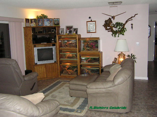 tanks in family room.
