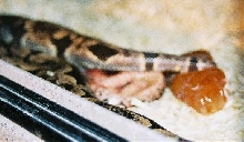 pic 2