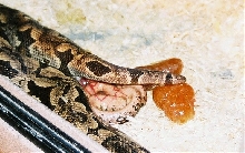 pic 3