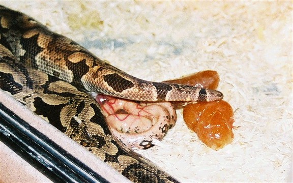 pic 3