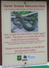 Garter Snake sign