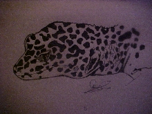 sketch of Trinity