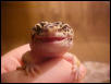 Smile :]