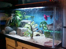 Side view of Trinitys enclosure