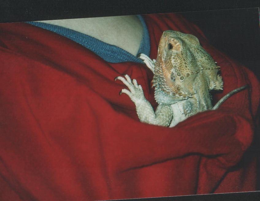 My BD Asclepius