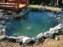 My pond is filled!