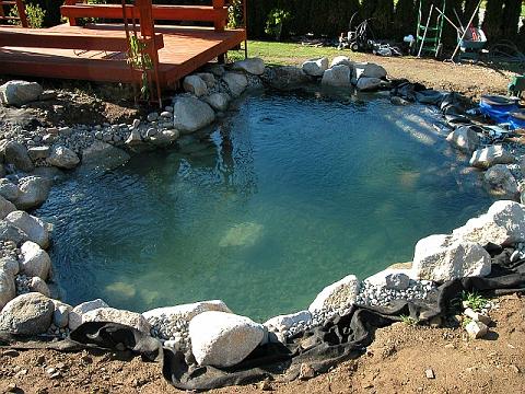 My pond is filled!