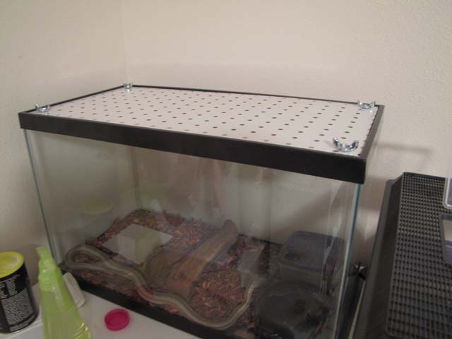 Cam5