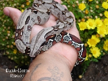 one of my babies