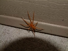 Need an ID on this one