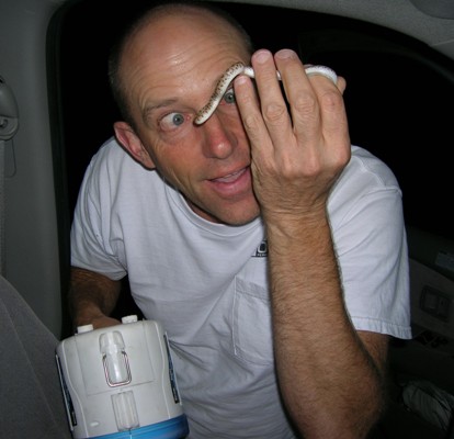 lamprophil looking weird.......
