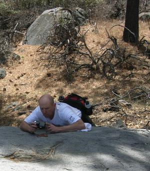lamprophil in action