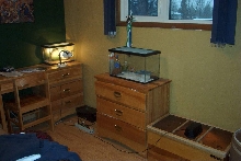 herp room setup