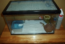leoprad gecko cage