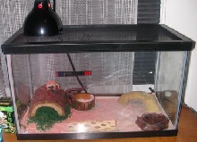 melvin's home
