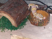 melvin eating in his food dish