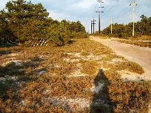 Trail at Crossley