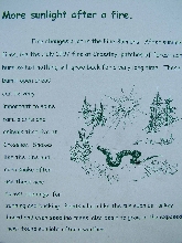 Sign mentioning the Pines and Corns of the area